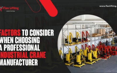 Factors to Consider When Choosing a Professional Industrial Crane Manufacturer