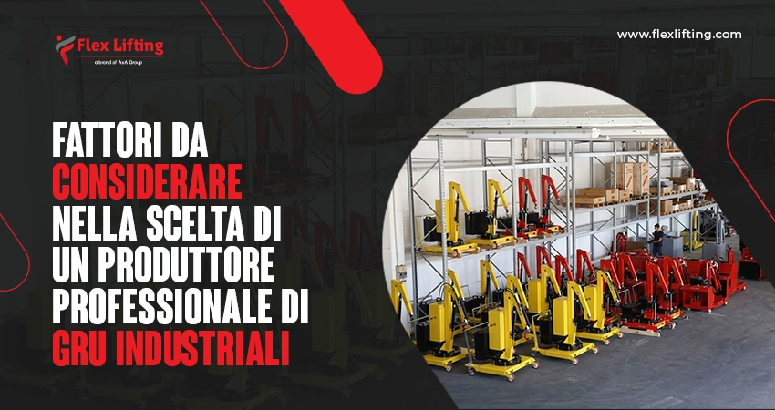 Fattori da considerare nella scelta di un produttore professionale di gru industriali